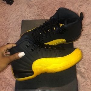 Air Jordan 12 Retro